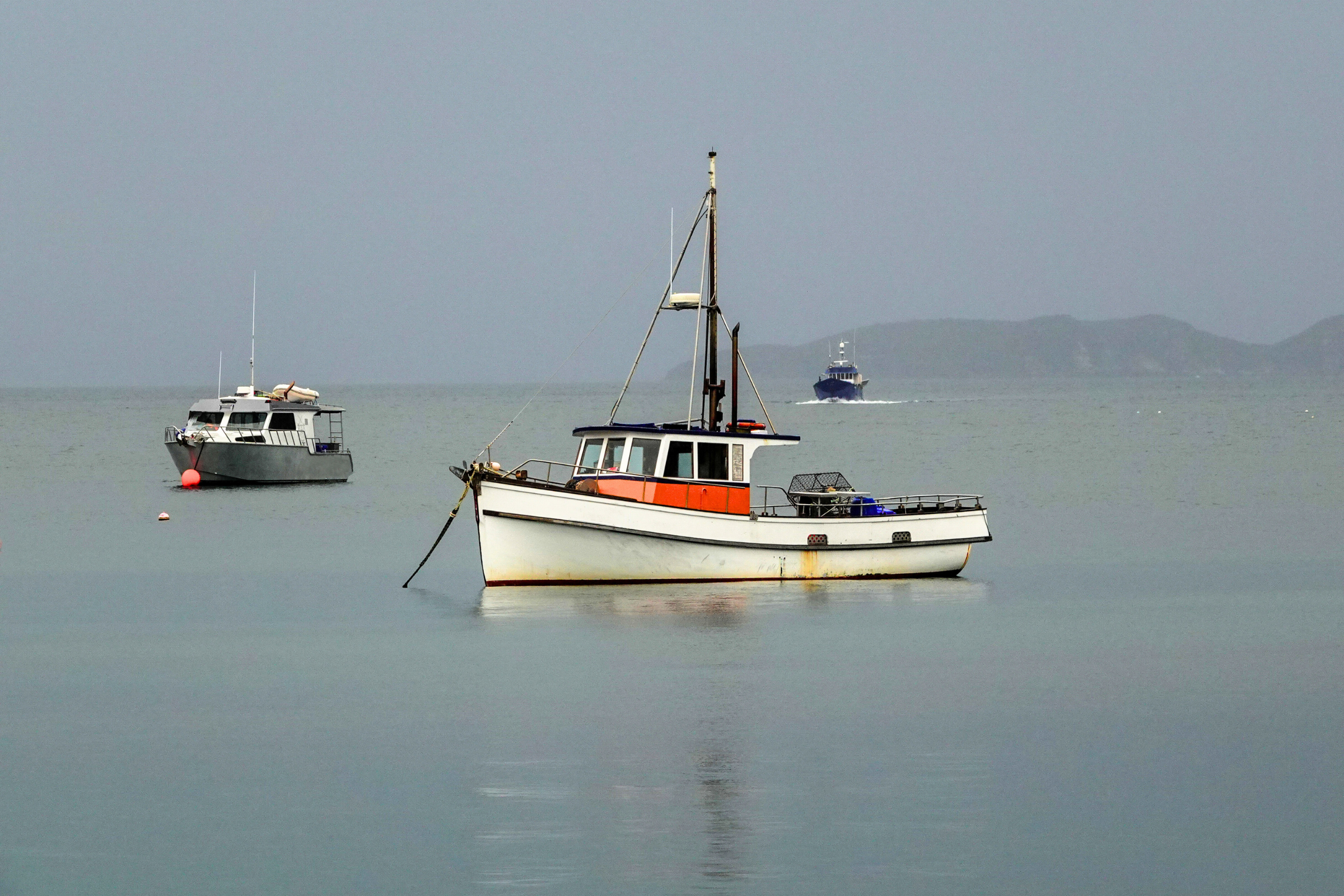 paterson inlet, stewart island (2).webp